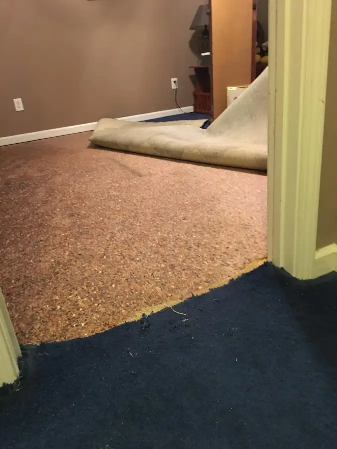 Carpet pad removal revealing water damage during Drying & Dehumidification in Berkeley