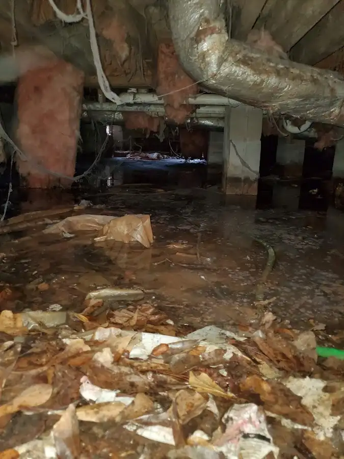 Crawl space flood assessment for Commercial Water Damage Restoration in Berkeley